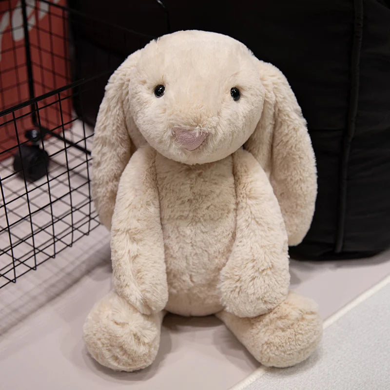 Cute Lop Rabbit