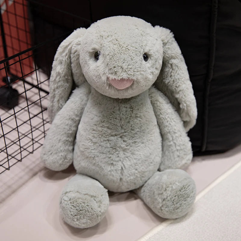 Cute Lop Rabbit