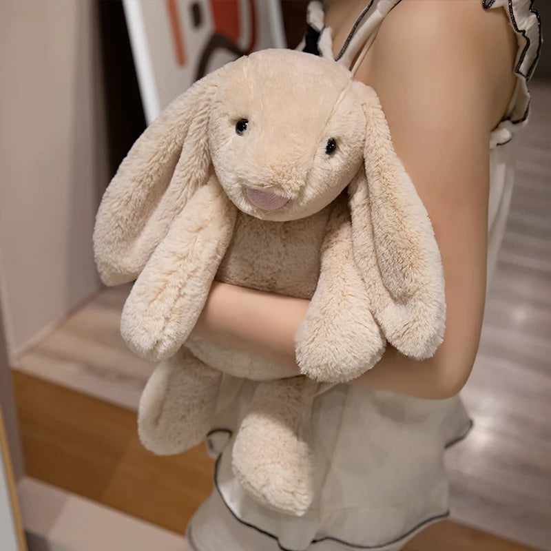 Cute Lop Rabbit