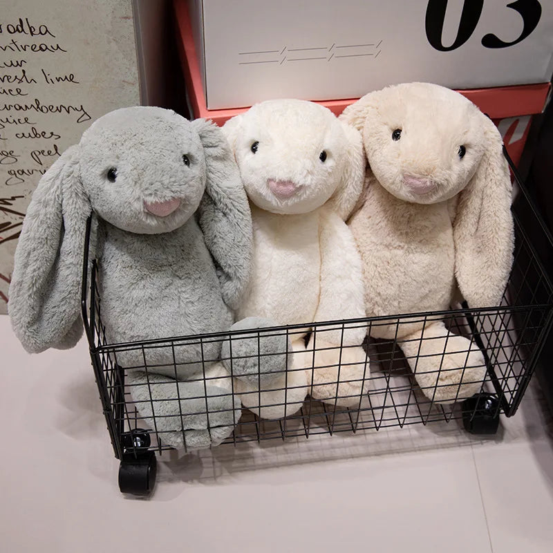 Cute Lop Rabbit