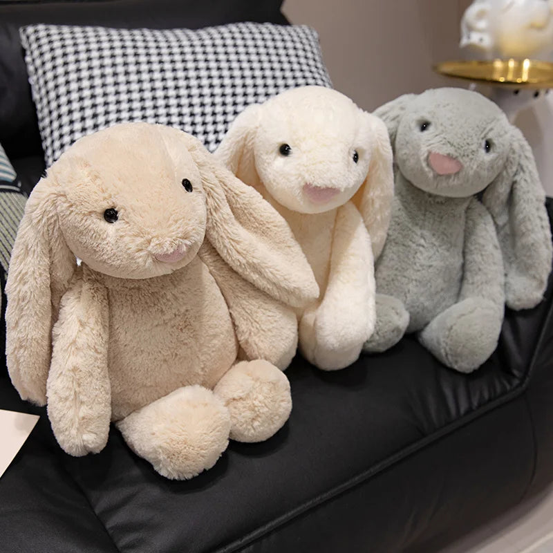 Cute Lop Rabbit