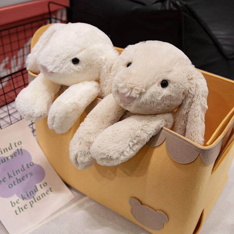 Cute Lop Rabbit