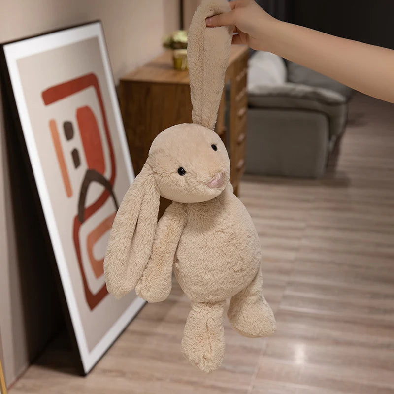 Cute Lop Rabbit