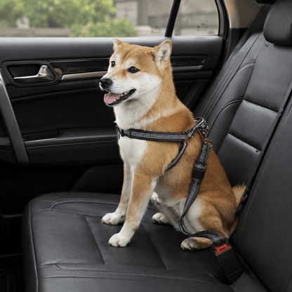 PawSecure™ Adjustable Dog Seat Belt | Shock Absorbing Car Safety Leash