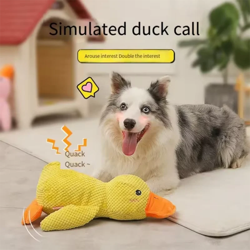 Dog Toy