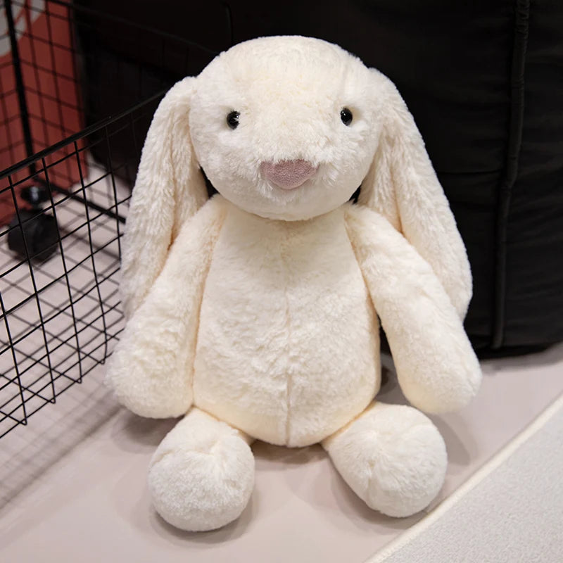 Cute Lop Rabbit