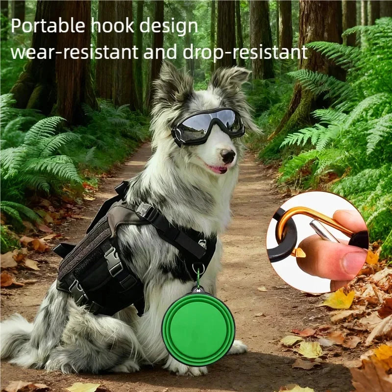 Collapsible Travel Bowl