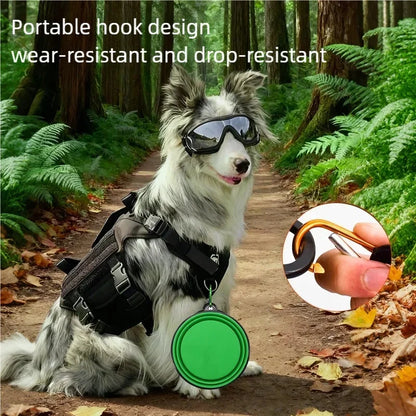 Collapsible Travel Bowl