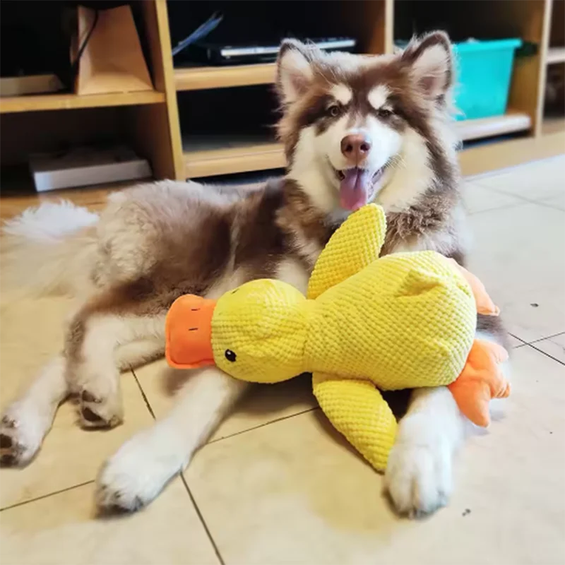 Dog Toy