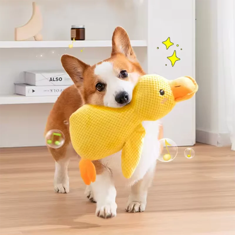 Dog Toy