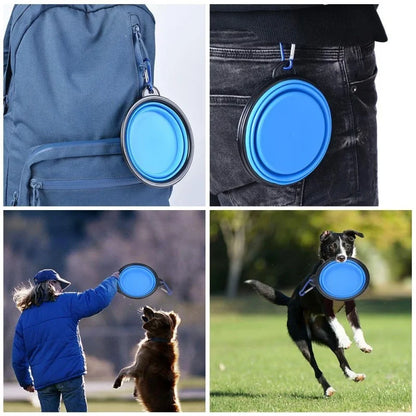 Collapsible Travel Bowl