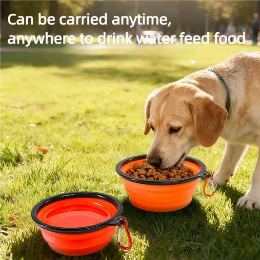 Collapsible Travel Bowl