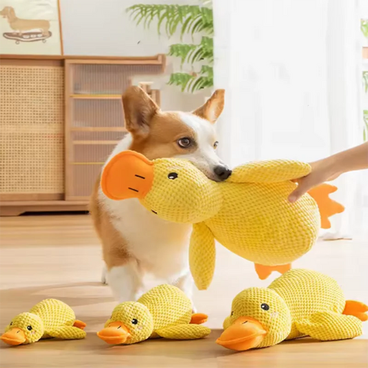 Dog Toy