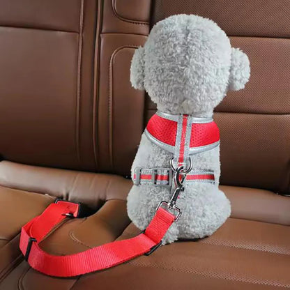 Dog Safety Belt