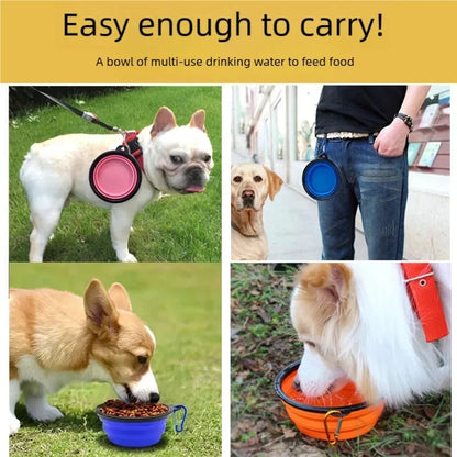 Collapsible Travel Bowl