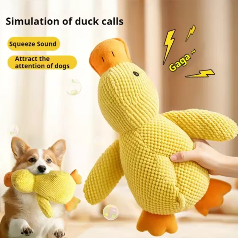 Dog Toy