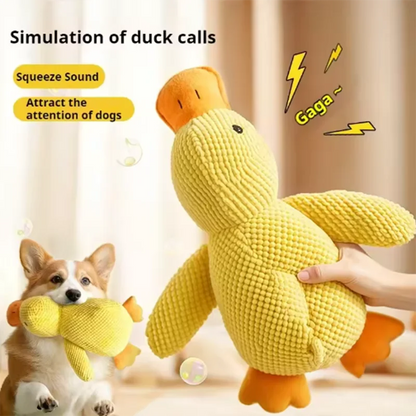 Dog Toy