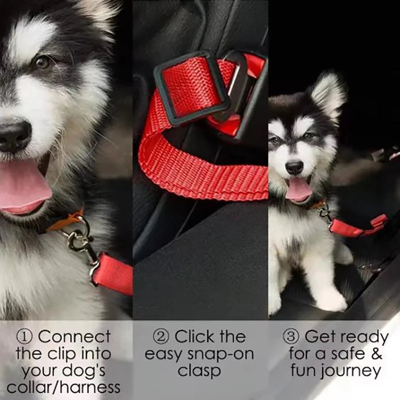 Dog Safety Belt